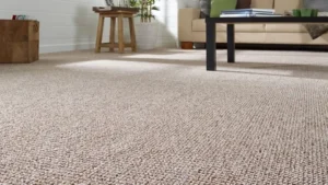 Best Carpet for High Traffic Areas
